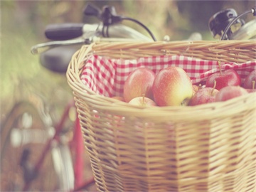 21级学生是否参加25年考研?