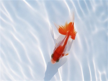 考研中为何许多人避开社科院,原因解析