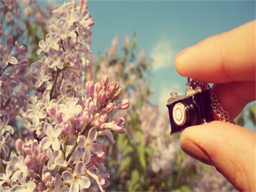 商务英语专业就业方向