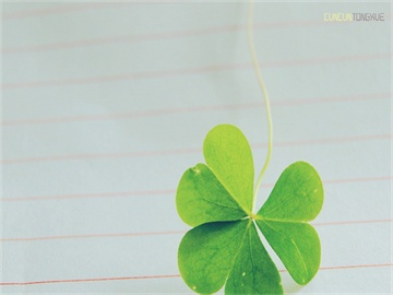 考研科目较少的专业主要包括,,工商管理专业,公共管理专业,因此,一个可能的标题是,,考研科目较少的专业有哪些?——工商管理、公共管理专业推荐!