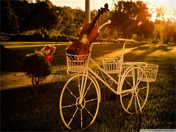 商务英语专业就业方向