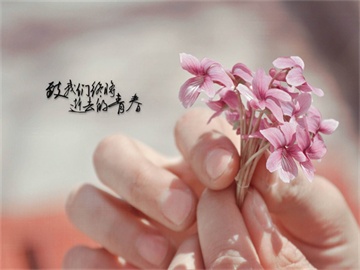 学信网为什么没有考研信息