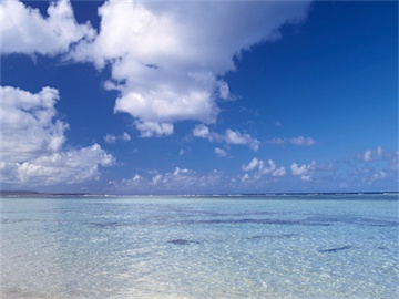 在职考研的学费是多少