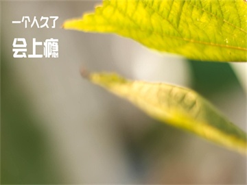 会计专业考研的难易度分析