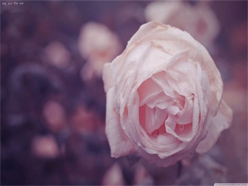 考研考点如何得知