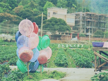 心理学考研科目概述