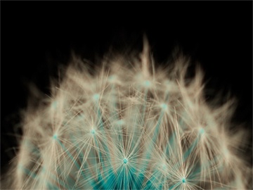 应届生考研报考点的选择方法