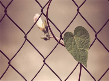 在职考研复习指导