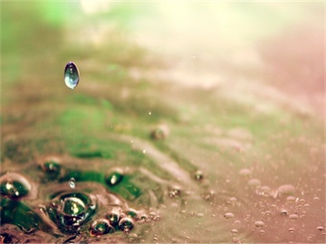 2025二本考研专业有哪些