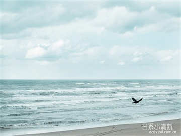 医学考研较易的专业，临床医学辅助专业。