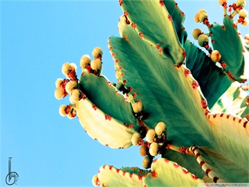 2025二本考研专业有哪些